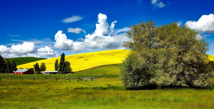 Paulding County GA Homes For Sale & Real Estate